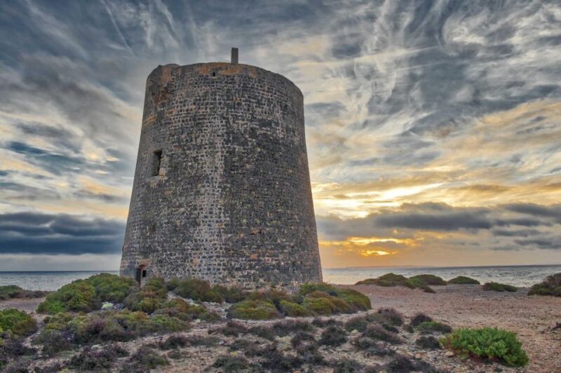 NATURE WALK + BEACH, YOGA & OPTION OF HEALTHY BIO PICKNICK - Guided Tour Details