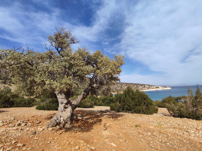 Naxos: Explore the Cave of the Unspoiled South-East Coast! - Inclusions for Participants