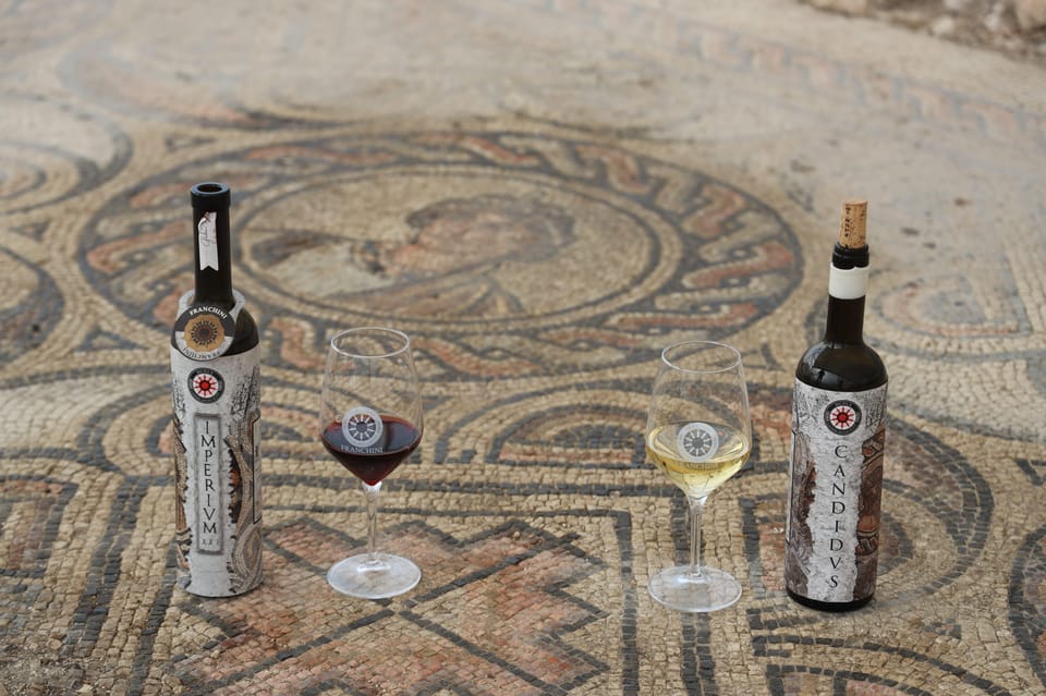 Negrar: Roman Villa Mosaics Tour & Valpolicella Wine Tasting - Inclusions in the Tour