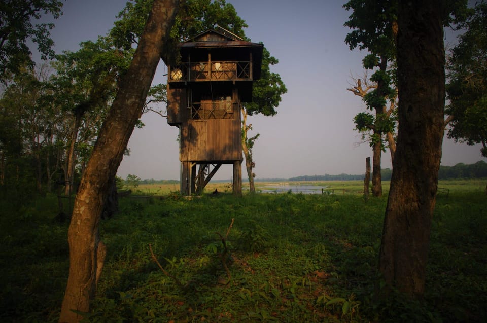 Nepal: Chitwan National Park 3-Day Jungle Tower Stay - Unique Jungle Experiences