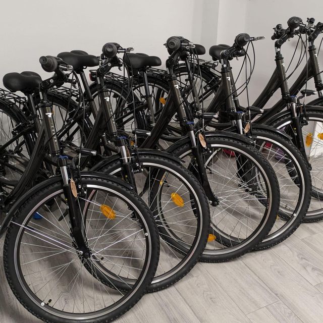 NERJA: Ebike Rental - Bike Maintenance and Condition