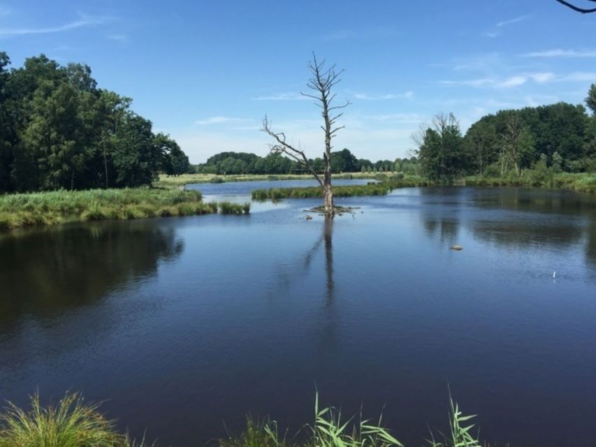 Nettetal: Krickenbecker Lakes, Forest & Castle Segway Tour - Experience Highlights