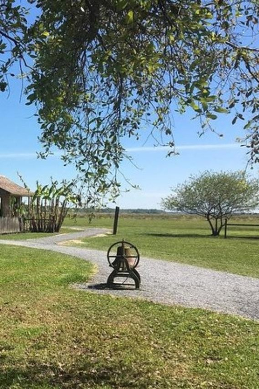 New Orleans: Oak Alley & Laura Plantation Tour W/Transport - Included Features