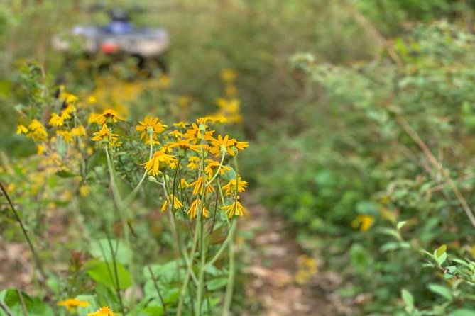 New River Gorge ATV Adventure Tour - Meeting and Pickup Details