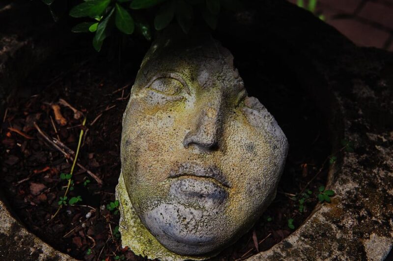 New York City: The Garden Photo Tour - Experience Highlights