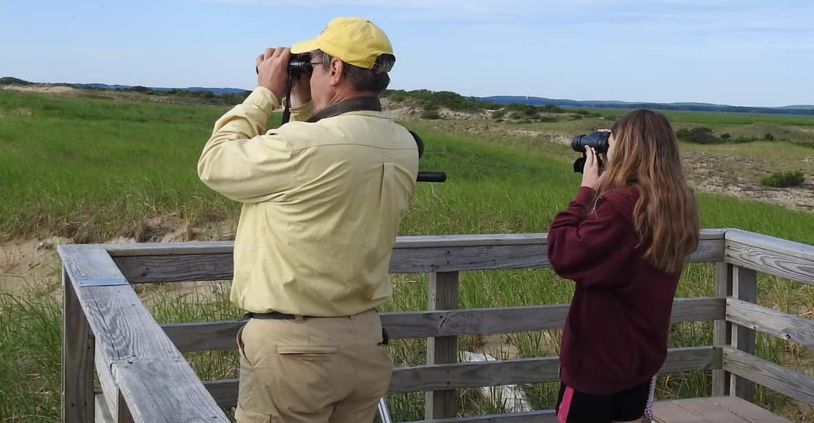 Newburyport: Plum Island Bird Watching Tour W/Transportation - Experience Highlights