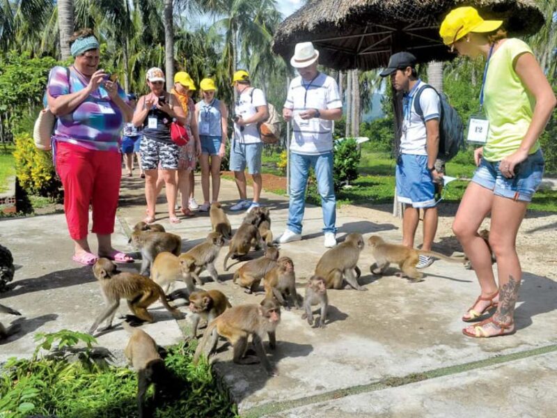 Nha Trang: Combo Monkey Island With Orchids Island Ticket - Whats Included in the Package