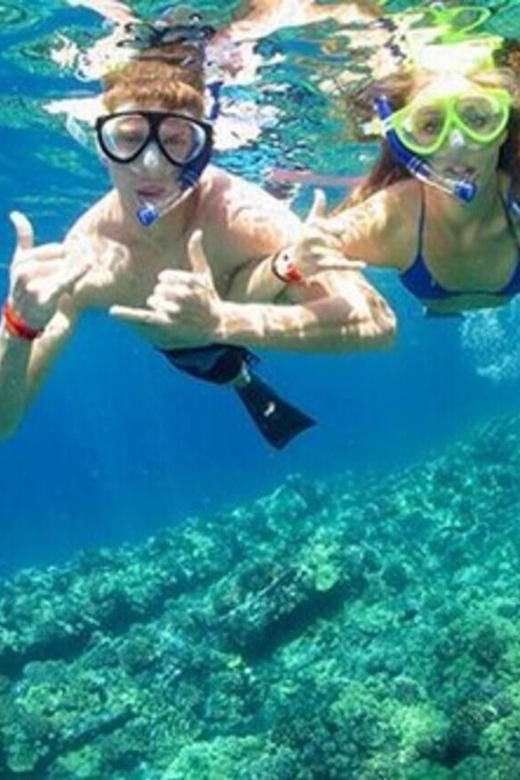 Nha Trang: Experience Snorkeling at Mun Island & Marine Park - Included in the Tour