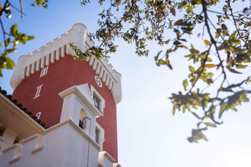 Nice: E-Bike Highlights Tour With Local Wine Tastings - Experience Highlights