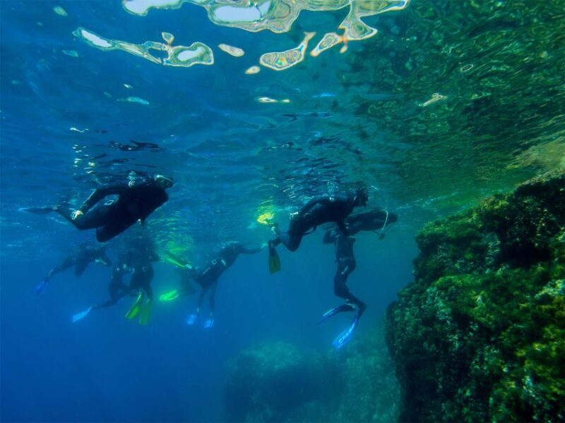 Nice: Speedboat Day Trip With Snorkeling in Villefranche Bay - Included Equipment and Instructors