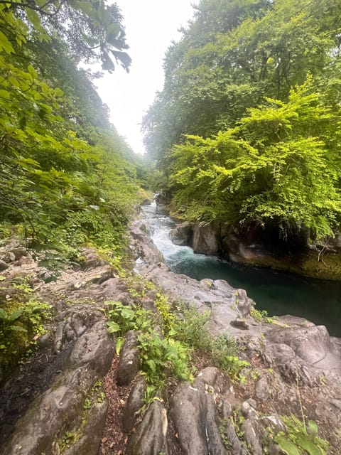 Nikko: Private Guided Tour by Car With English Guide - Inclusions and Exclusions