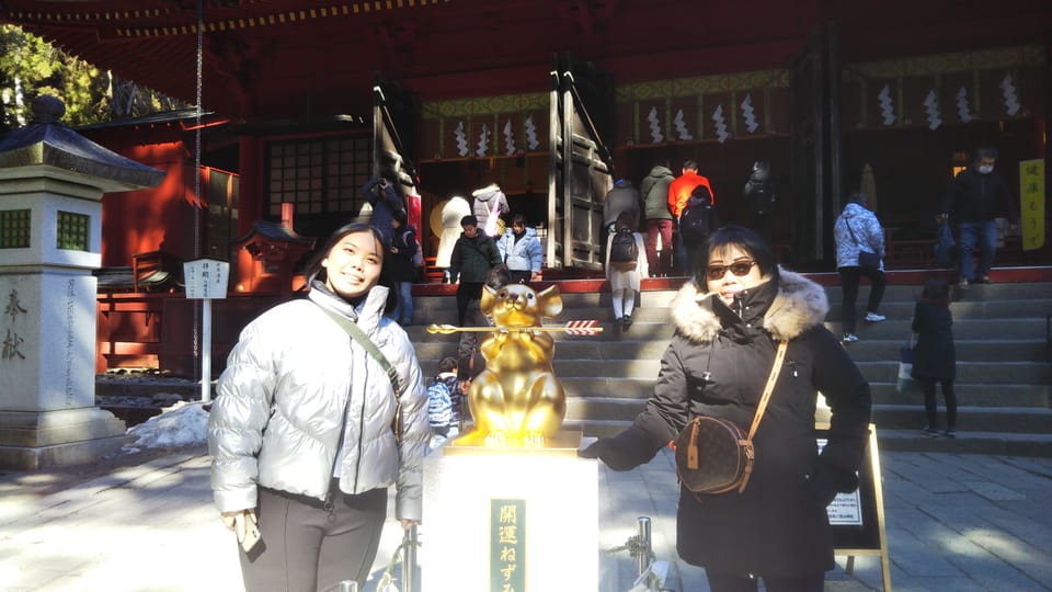 Nikko: Private Walking Tour With Local Guide - Logistics and Accessibility