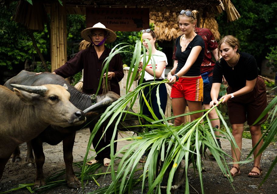 Ninh Binh: Buffalo Riding, Rice Planting Group Tour - Morning Tour Schedule