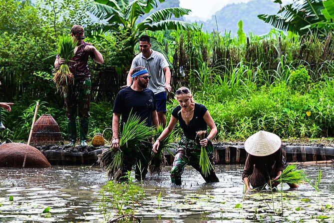 Ninh Binh Eco Group Tour - Buffalo Riding, Rice Planting, Fishing - Health and Safety Guidelines