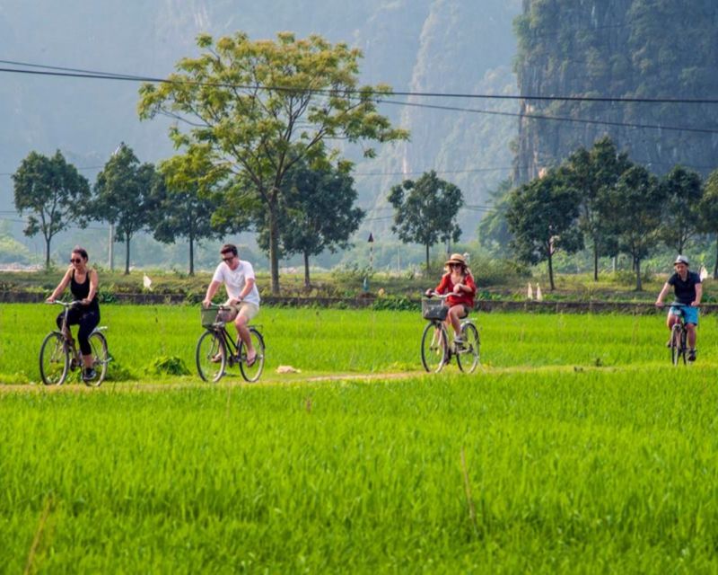 Ninh Binh: Hoa Lu, Trang An & Hang Mua Trip by Limousine Bus - Included Services