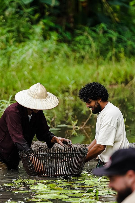 Ninh Binh: Rice Planting and Fishing by Basket Tour - Inclusions and Exclusions