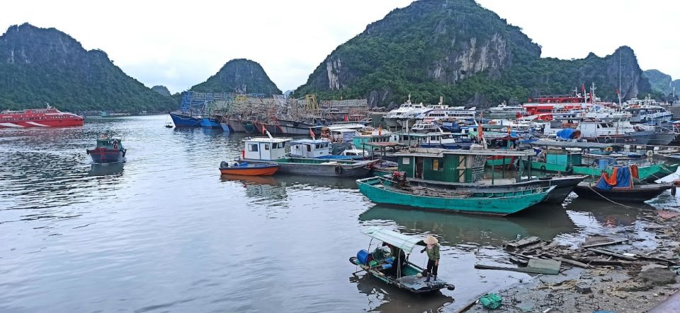 Nontouristy Bai Tu Long Day Cruise From Hanoi - Group Size and Accessibility