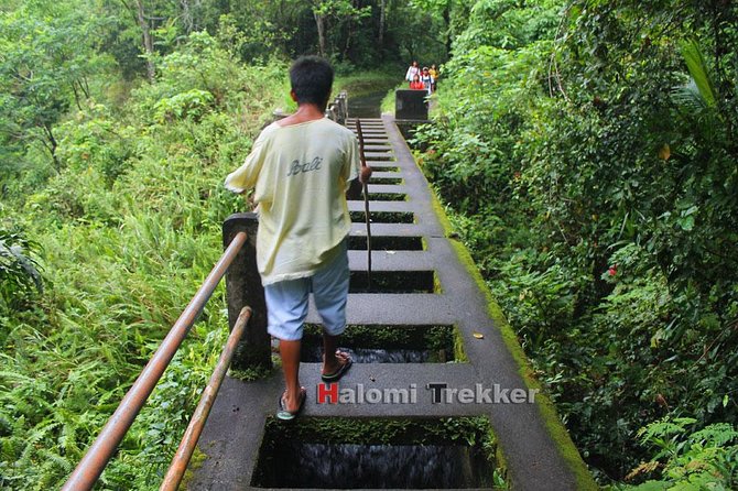 North Lombok Waterfalls - Hiking Experience
