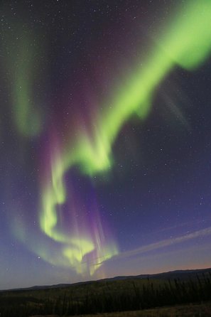 Northern Lights and Chena Hot Springs Night Tour From Fairbanks - Tour Experience and Customer Feedback