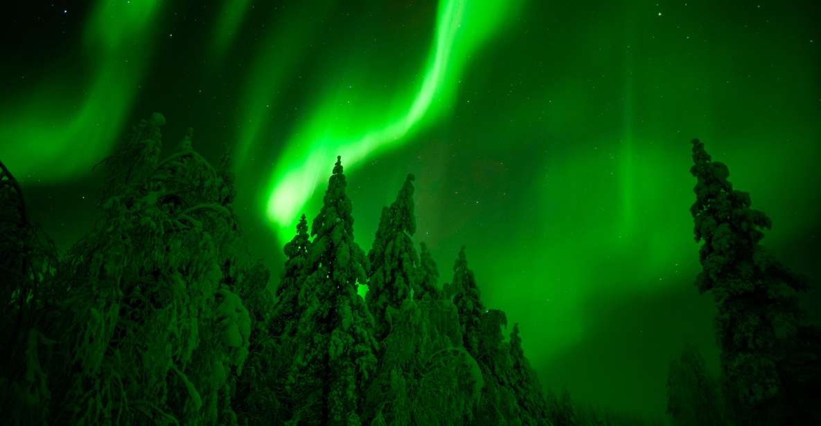 Northern Lights Hunting Adventure in Lapland - Services Included in the Package