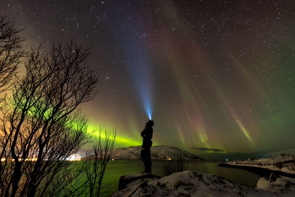 Northern Lights Tromsø - Small Group Tour With Local Guide - Unique Experiences Offered