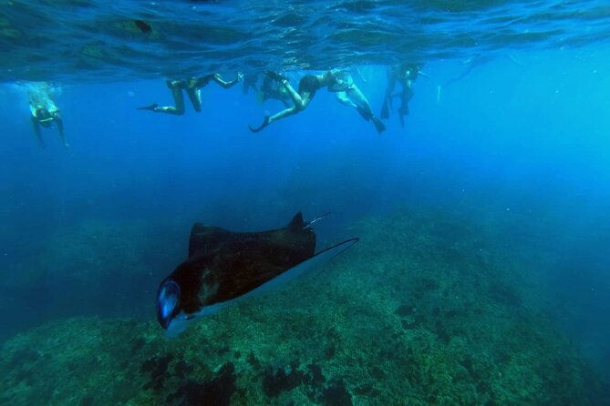 Nusa Penida 4 Spot Snorkeling With Manta and Island Tour - Island Tour Itinerary