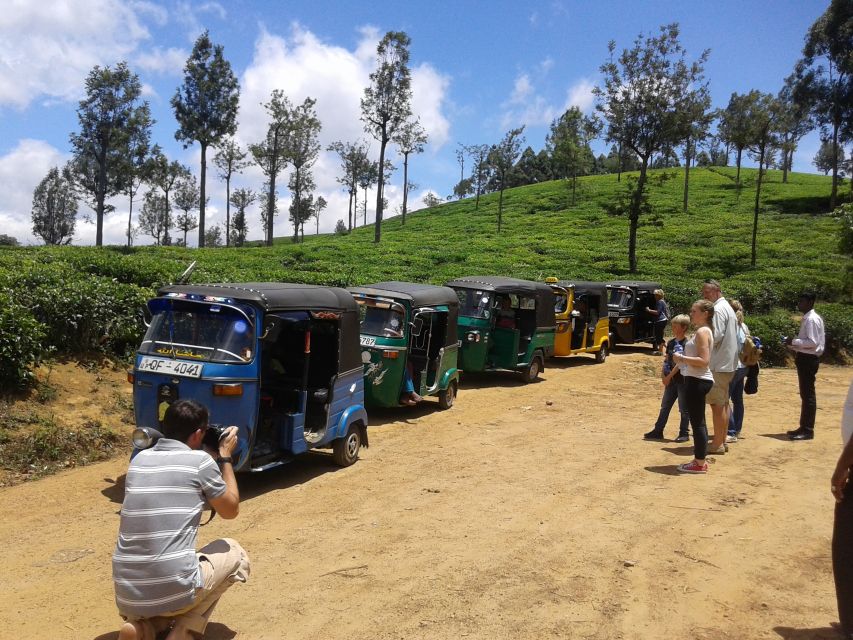 Nuwara Eliya: Ella & Little Adams Peak All-Inclusive Tour - Experience Features