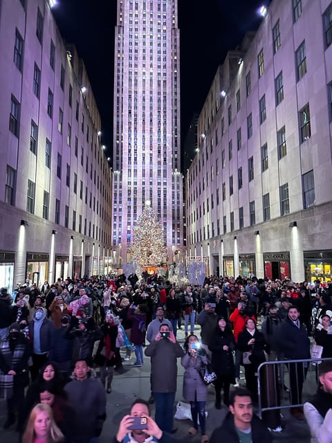 NYC: Christmas Lights Horse Carriage Ride - Experience and Features