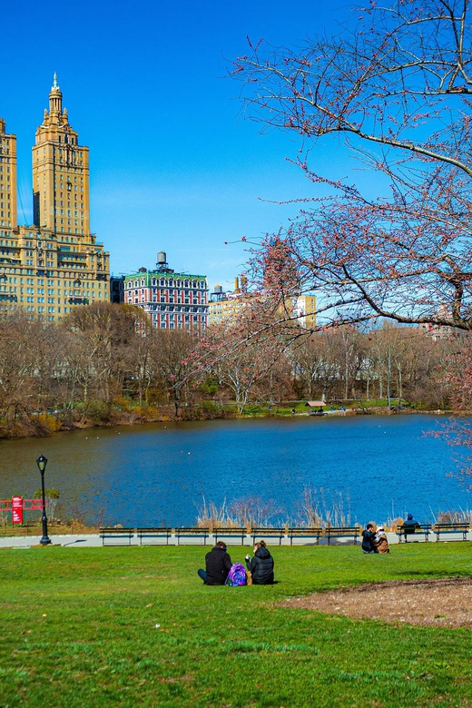 NYC: Complete Manhattan 5h Walking Tour & Cycle Central Park - Experience and Learning