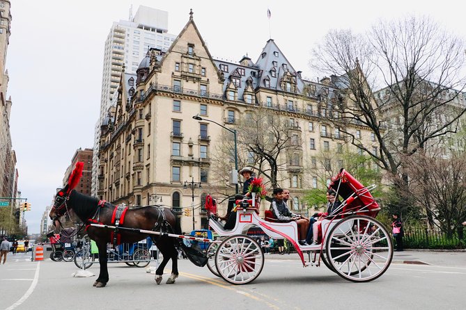 NYC Horse Carriage Ride in Central Park (50 Min. Up to 4 Adults) - Meeting Point Information