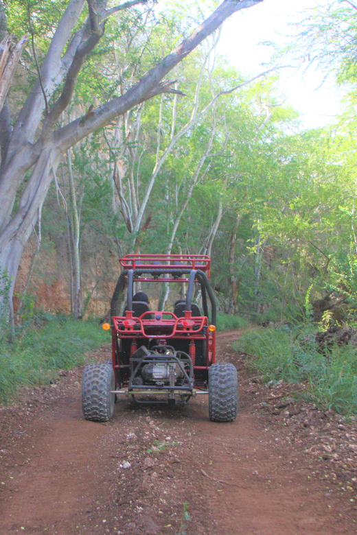 Oahu: Coral Crater Zipline and Offroad ATV Adventure - Highlights and Activities