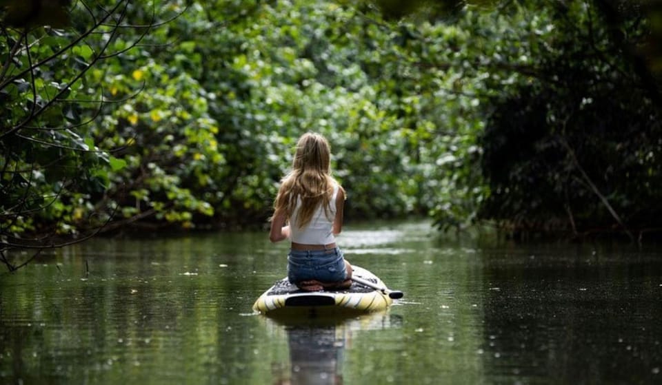 Oahu: Kahana River Stand-Up Paddleboard (SUP) Rental - Rental Inclusions