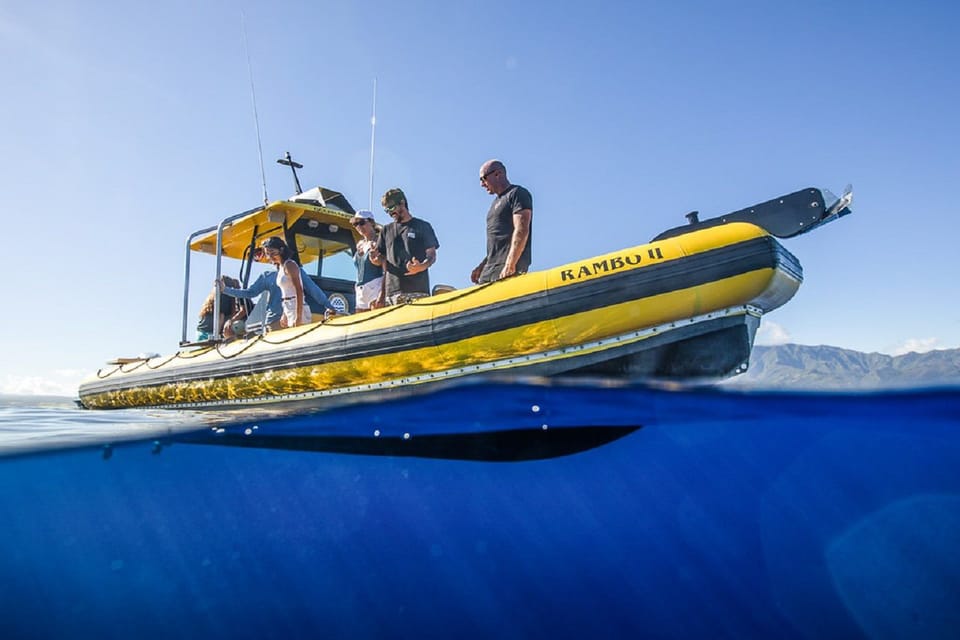 Oahu: North Shore Snorkeling Tour From Haleiwa - Inclusions and Requirements