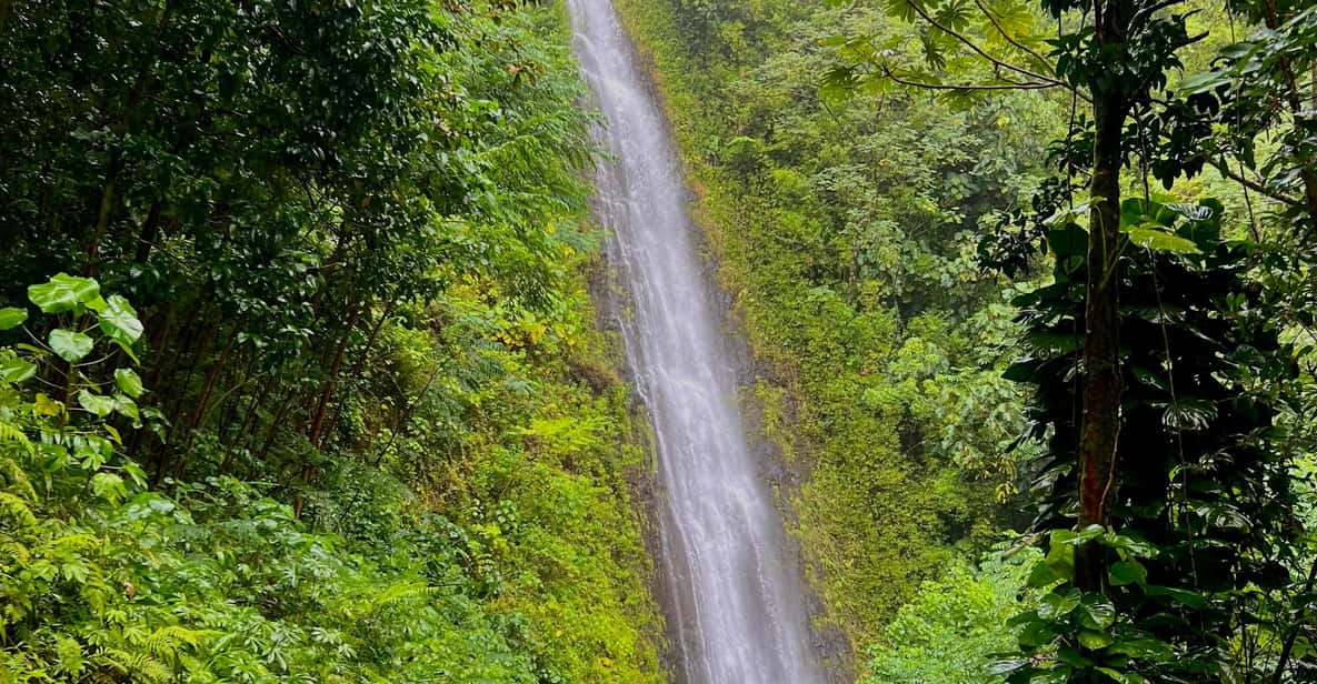 Oahu: Private Circle Island Tour Featuring Manoa Falls Hike - Group Size and Experience