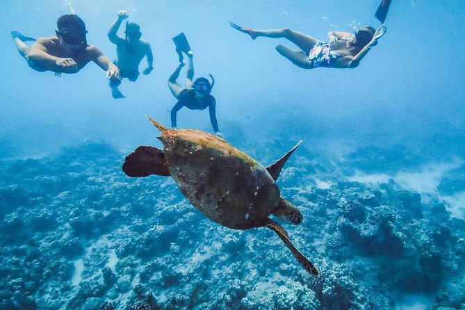 Oahu Small Group Snorkel Tour With Yacht Cruise - Participation Guidelines