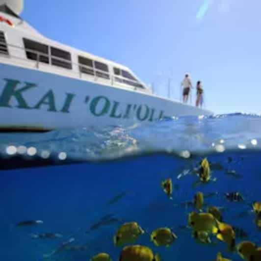 Oahu: Whales Dolphins Snorkeling Cruise With Hawaiian Meal - Location and Vessel Details