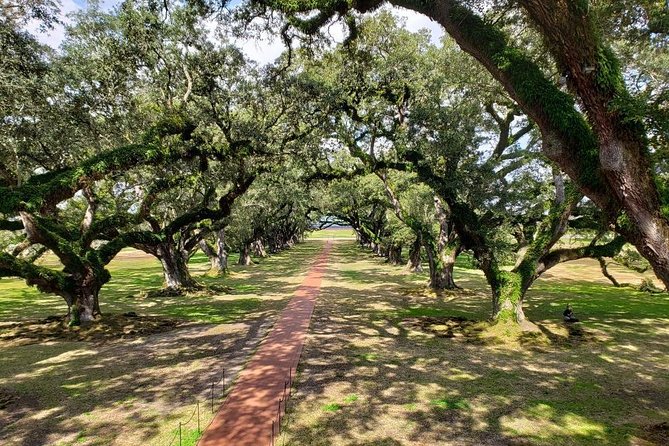 Oak Alley and Laura Plantation Tour With Transportation From New Orleans - Historical Significance of Plantations