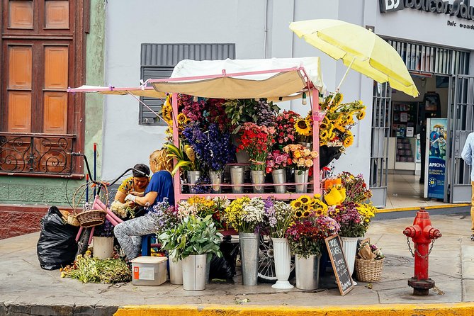 Off the Beaten Track in Lima: Private City Tour - Artisan Workshops and Art Galleries
