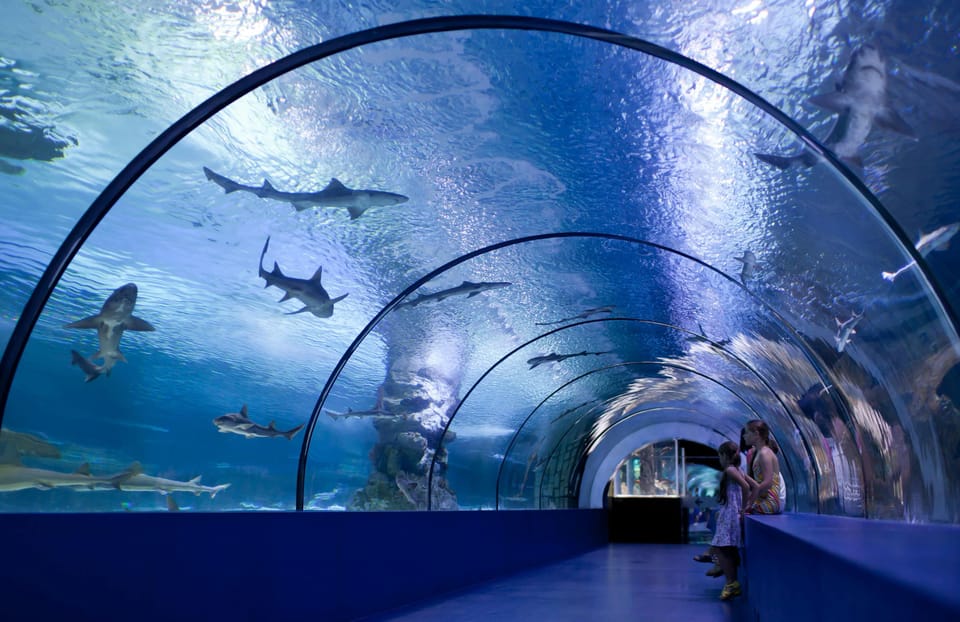 Okurcalar/Alanya: Antalya Aquarium Round-Trip Bus Transfer - Pricing and Booking Details