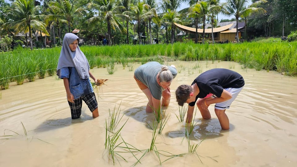 Old Phuket Farm Ticket - Countryside Local Life Culture - Itinerary Highlights