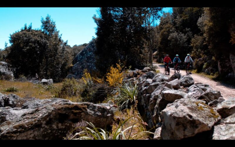 Old Railway: Premium E-Bike Tour Through an Enchanted Forest - Route and Scenery