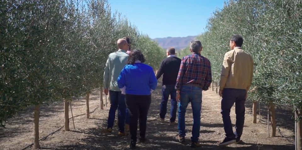 Oleoalmanzora: Guided Tour & Tasting + Pulpí Geode (6-Hours) - Olive Grove Guided Tour