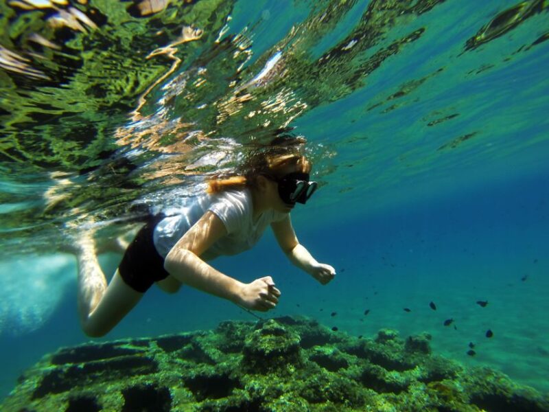 Omiš: Kayaking and Snorkeling Tour - Included Experiences