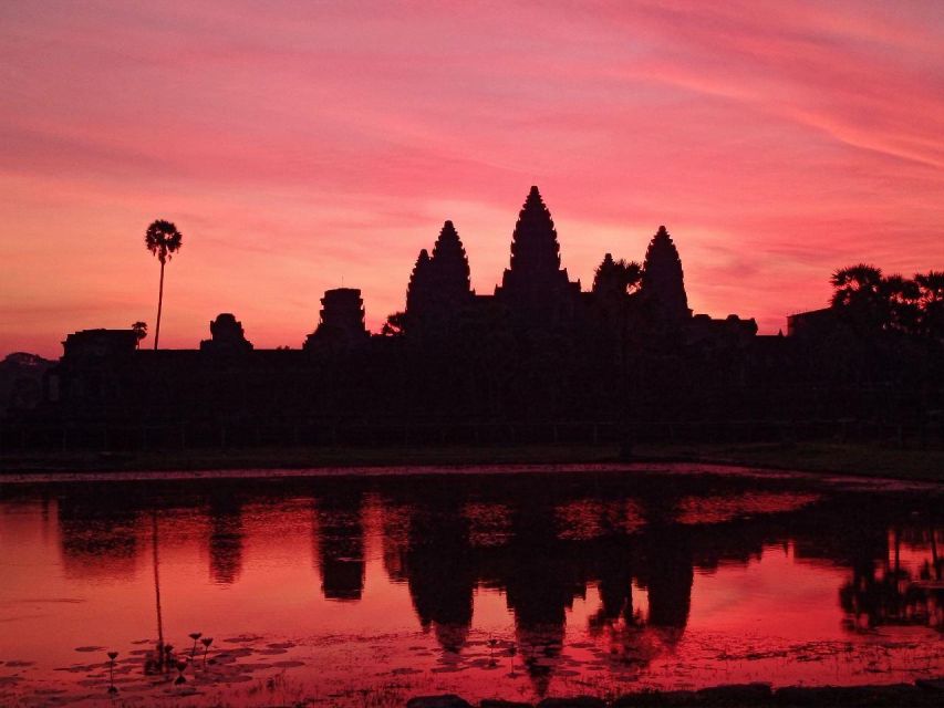 One Day Angkor Wat Trip With Sunrise - Transportation and Services