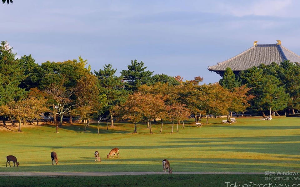 One Day Private Customized Self-Guided Tour in Nara - Transportation Options