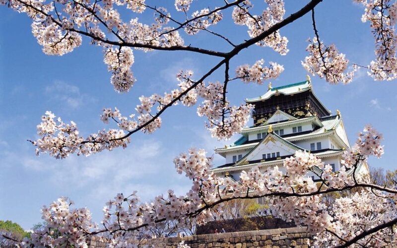 One Day Private Customized Self-Guided Tour in Osaka - Key Tour Highlights