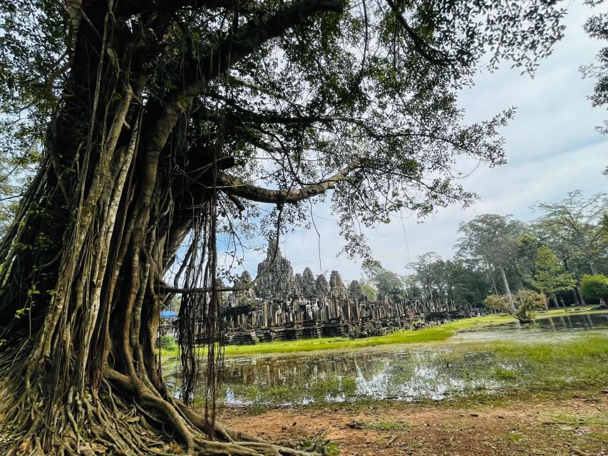 One-Day Small Circuit Tour: Angkor Wat, Bayon, Ta Prohm - Transportation Options