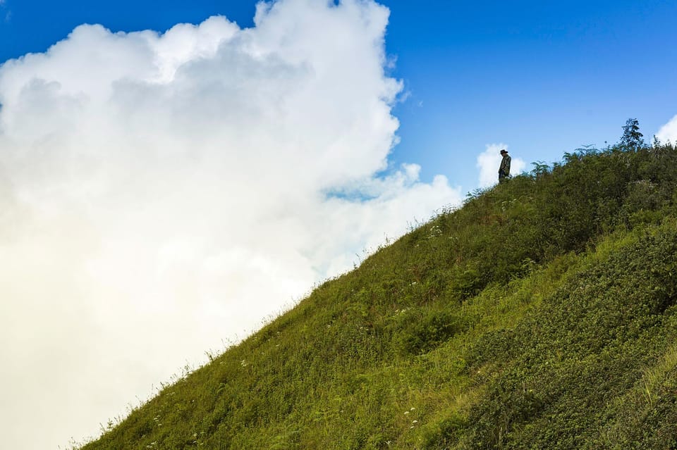 One Day Tour Doi Inthanon National Park With Guide,Lunch,Fee - Transportation and Logistics