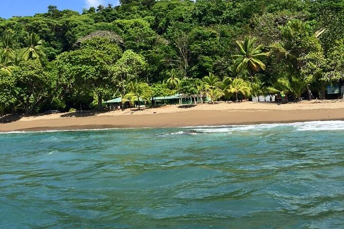 One Day Tour To Corcovado From Sierpe - Wildlife and Experience
