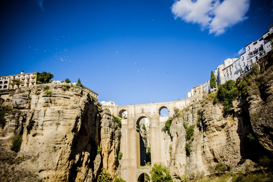 One Day Trip Ronda From Málaga - Inclusions and Pricing